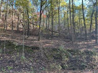 4 Docente Ln, Hot Springs Village, AR 71909