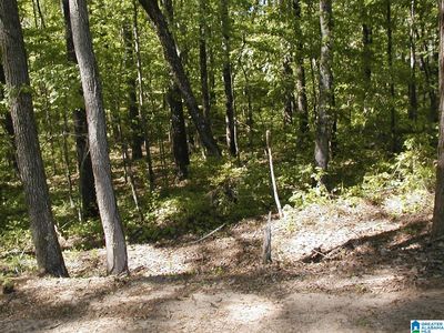 LOT 17 Mitchell Dr, Vance, AL, 35490