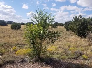 7697 Arroyo Plata Dr, Show Low, AZ 85901