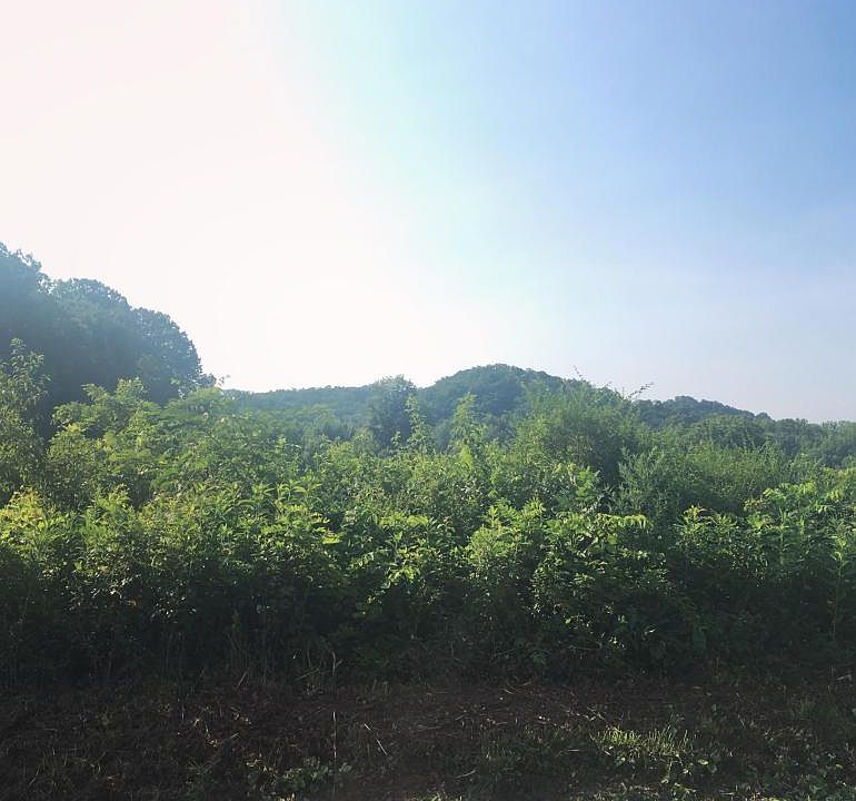 2nd image of Dutch Valley Rd