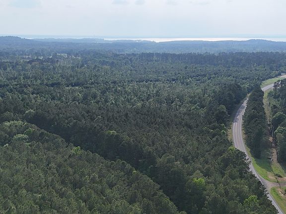 5th image of 351 Turtle Beach Rd