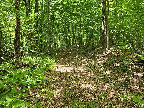 3rd image of Moose River Rd Lot 15