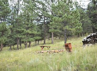 484 Ferris Dr, Westcliffe, CO