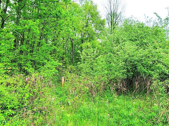 2nd image of 4009 County Road 25
