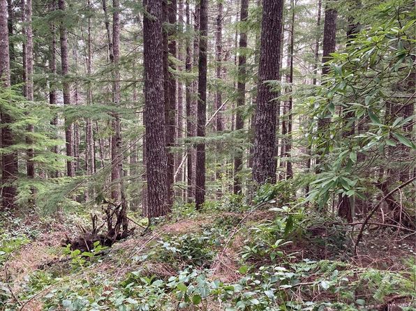 1350 N Hilltop Loop Road, Hoodsport, WA 98548