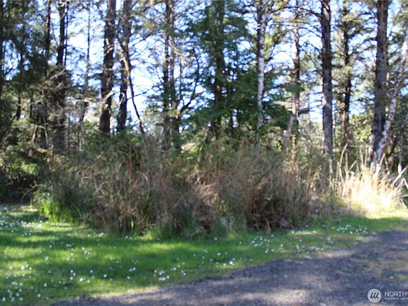 4th image of 39 Dolphin Ln.