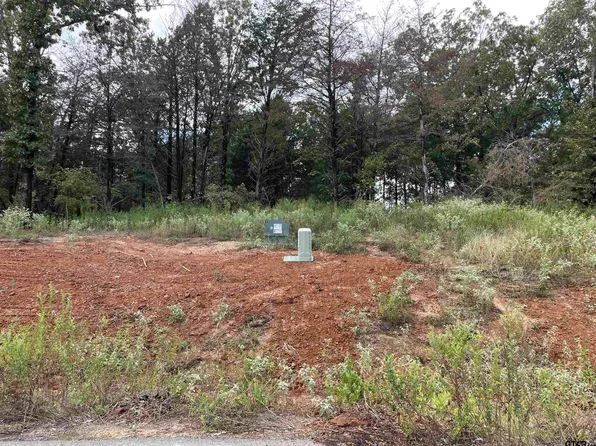 Cedarpark Pl Lot 20, Lindale, TX 75771