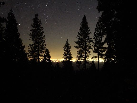 View from treehouse deck