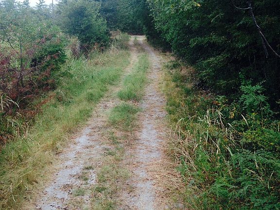 5th image of 4734 County Road 4415