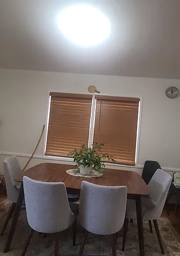 13 Windsor Dr Photo 1