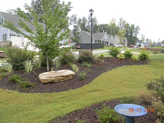 Established Front Yard