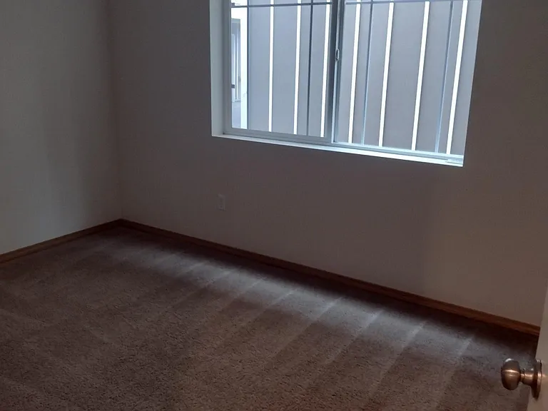 4703 S Morgan St — Photo 16