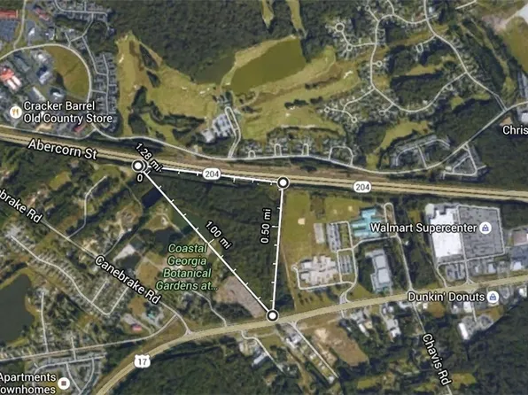 0 Ogeechee Road, Savannah, GA 31419