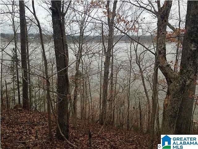 1st image of 16 Lake Front Dr Lot 16