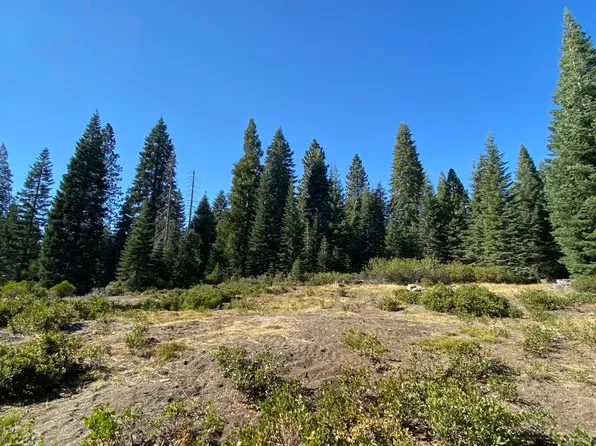 4-G-12 Ridge Dr, McCloud, CA 96057