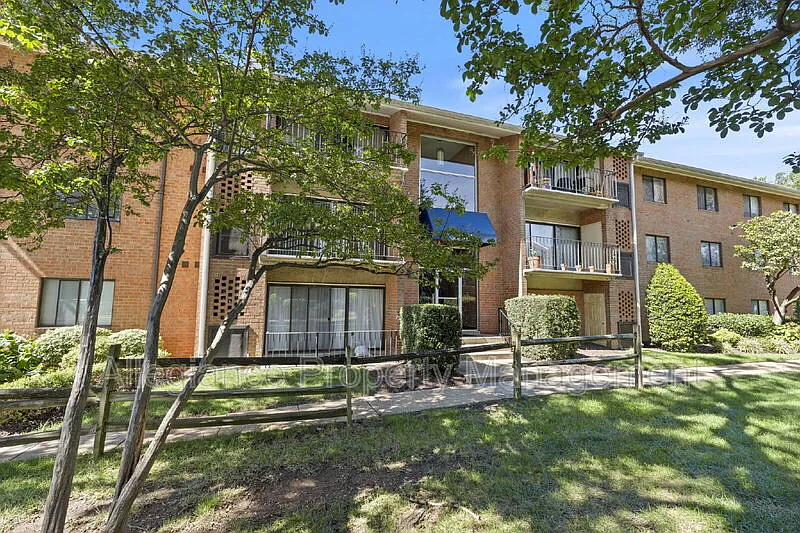 2 bed, 1.0 bath, 806 sqft, $2,000 — Photo 3