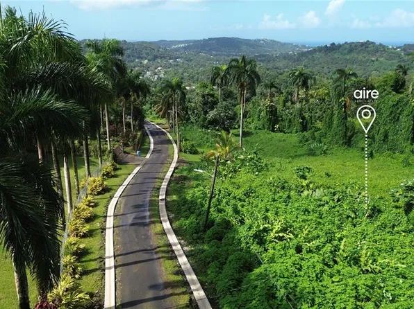 State Highway 191 Km #2.4, Rio Grande, PR 00745