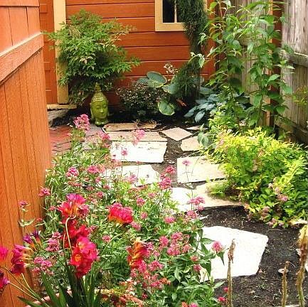 Side Yard