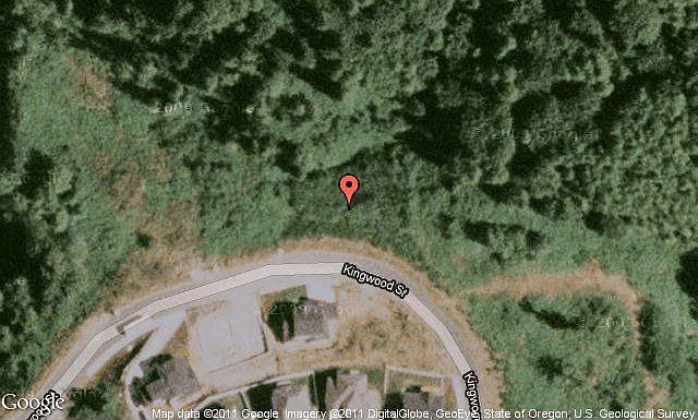 Map View