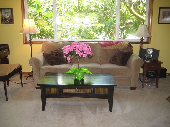 Light throughout home