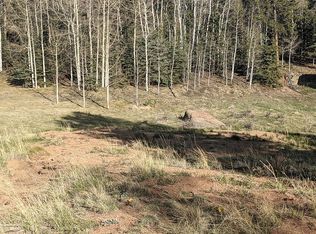 160 Silbani Ln, Florissant, CO 80816