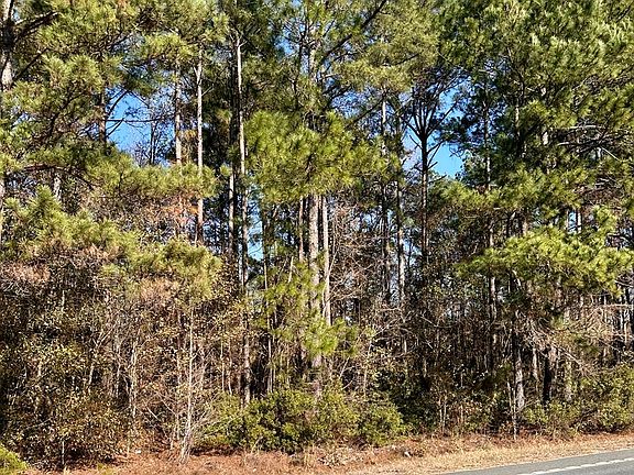 3rd image of 0 Tifton Eldorado Rd