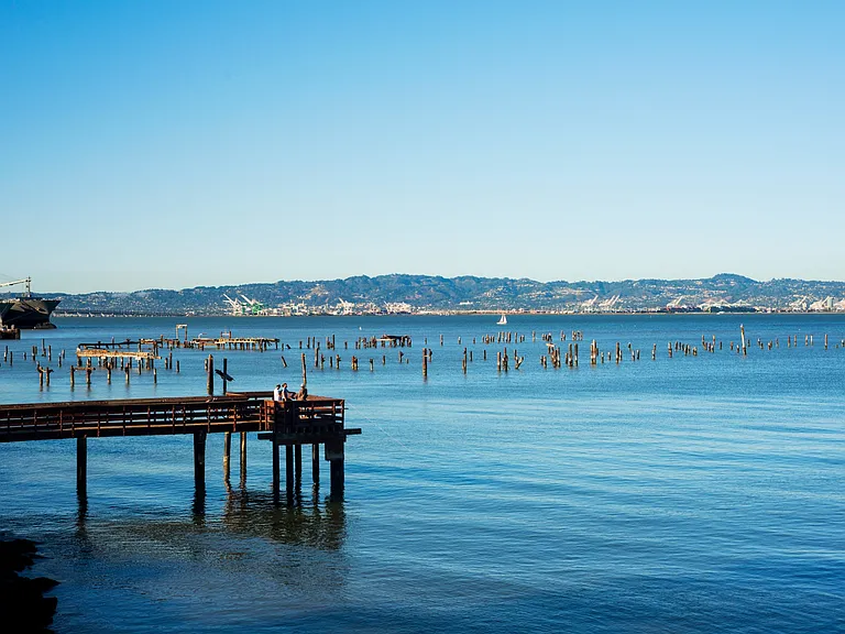 Enjoy scenic views of the bay