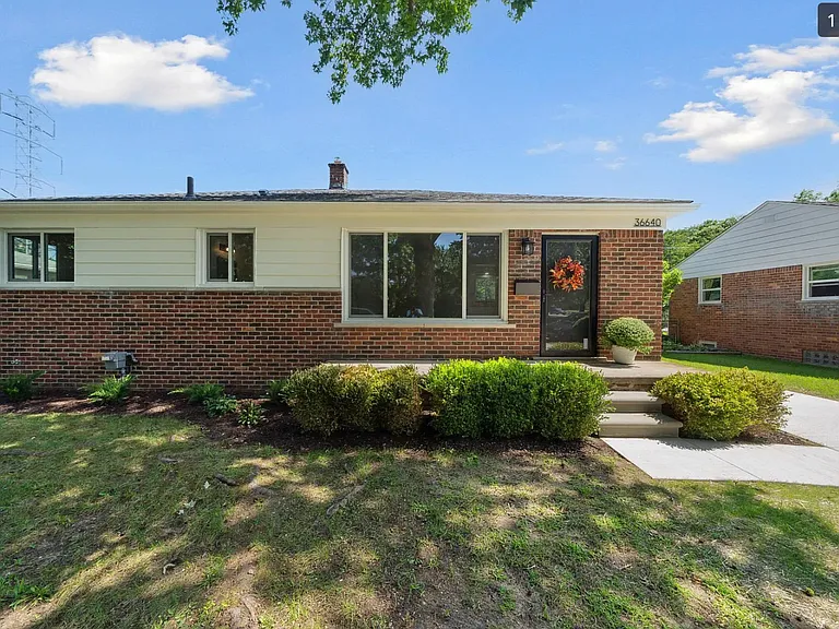 36640 Angeline Cir — Photo 33