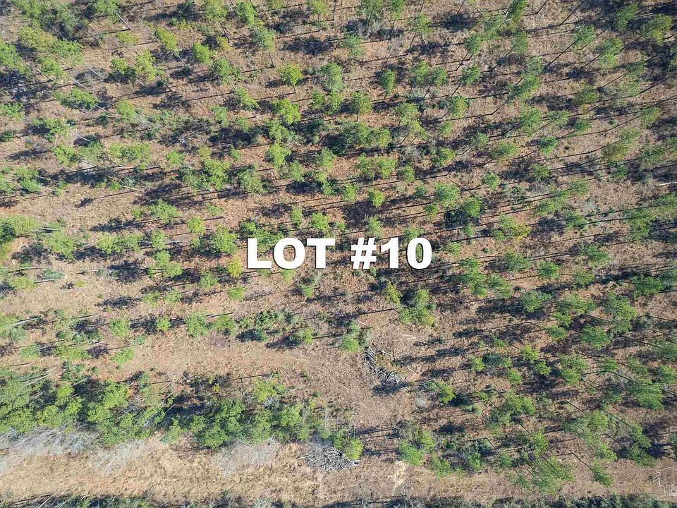 2nd image of LOT 10 Highway 89