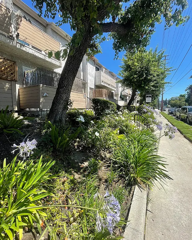 4934 Coldwater Canyon Ave — Photo 2