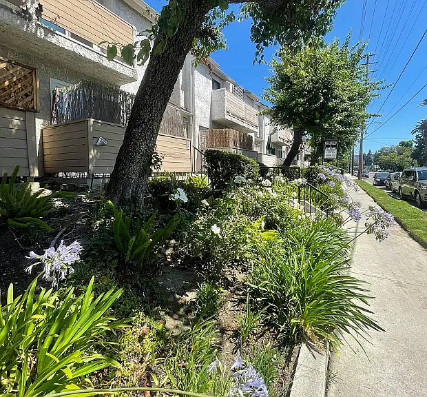 4934 Coldwater Canyon Ave — Photo 2