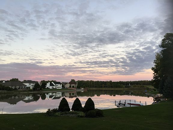 Good morning backyard view 
