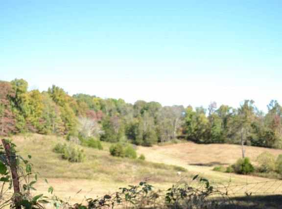 4th image of 110 Bob Dennings Rd