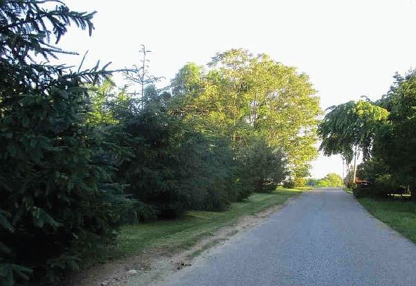 2nd image of 4410 Windy Hill Rd