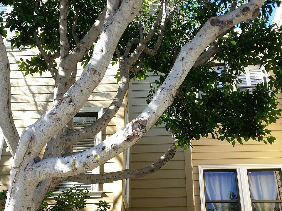 1st image of 528 Wisconsin St
