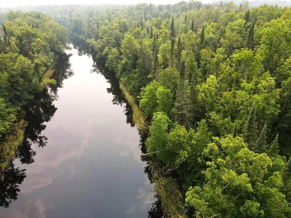 40 Tbd Co Rd, Effie, MN 56639