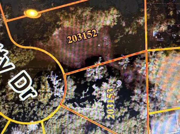 Pevetty Dr #9, Plant City, FL 33563