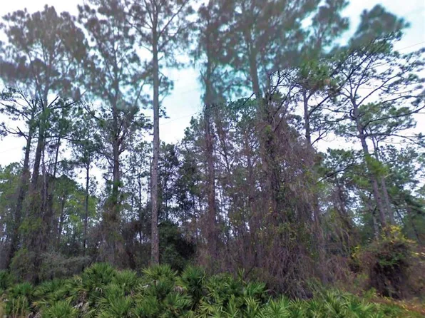 NE 66th Ave Lot 21-22, Citra, FL 32113