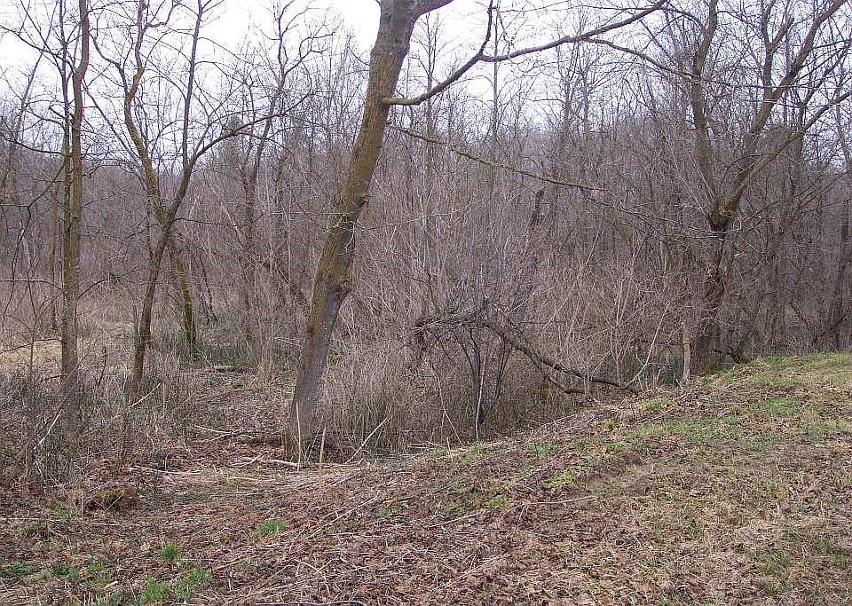 2nd image of 0 440th Avenue