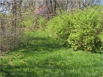 2nd image of 5715 NE Vivion Rd