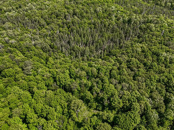 3rd image of 6881 E Forest Ln Lot 1
