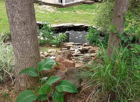 5th image of 225 Rosebank Way