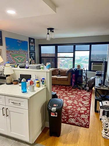 3420 N Lake Shore Dr #18M Photo 1