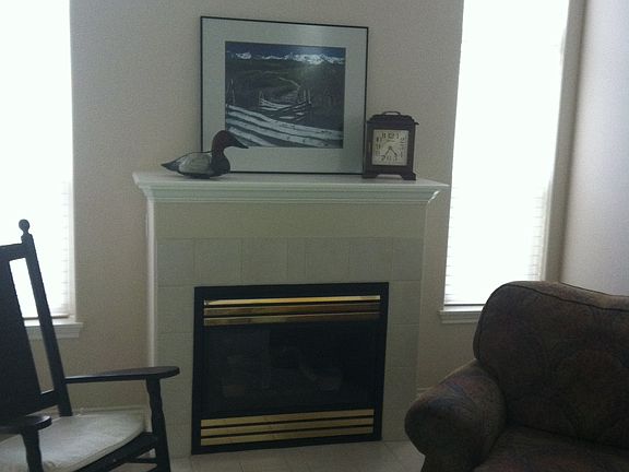 living with gas fire place