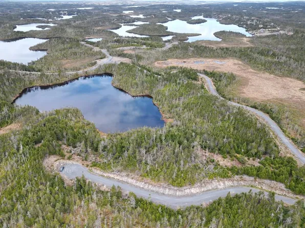 Lot #210 Fifth Island Pond, Deer Park, NL A0A2RO