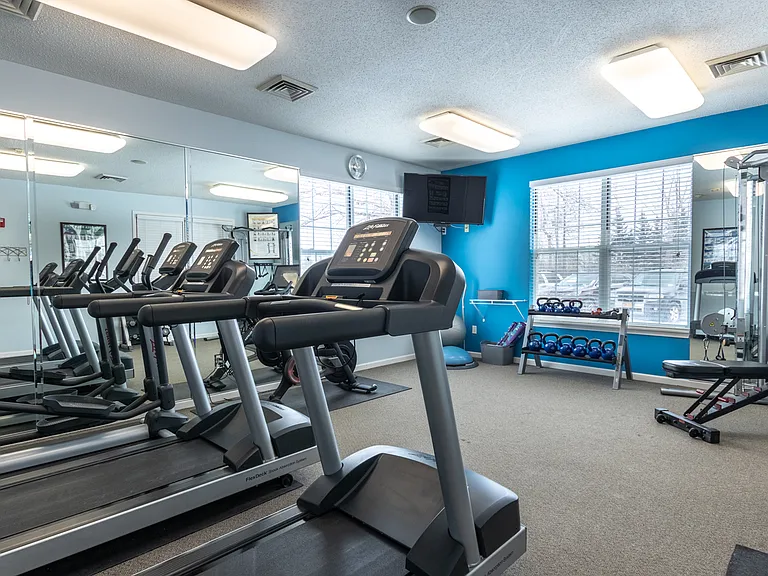 New Weight Machine & Cardio Equipment