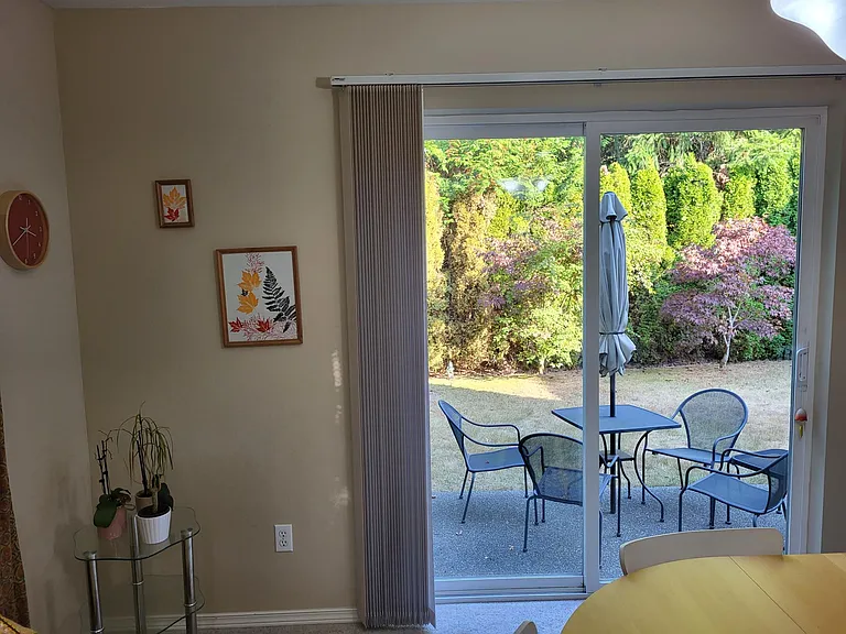 Backyard view from dining
