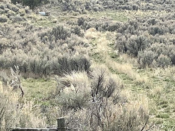 3rd image of Lower Lamoille Hog Tommy Rd