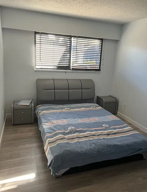1 bed, $1,200 — Photo 2