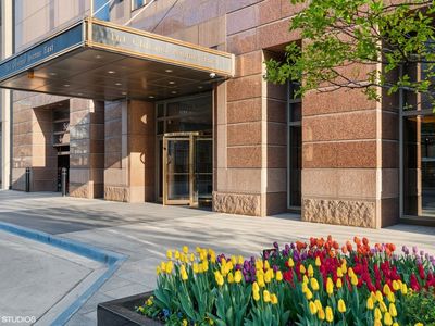 161 E Chicago Ave UNIT 29DE, Chicago, IL, 60611
